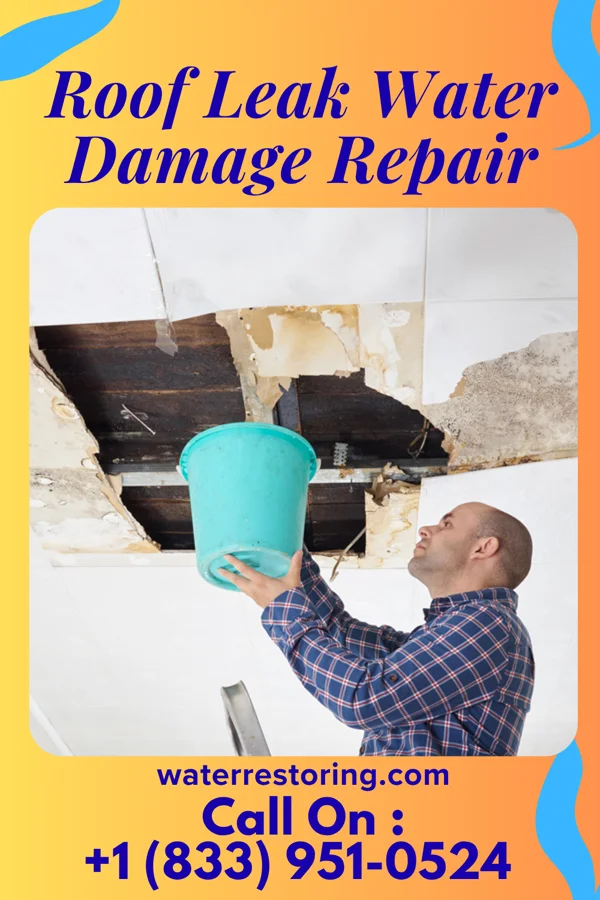 Roof Leak Water Damage Repair in Alsen, ND